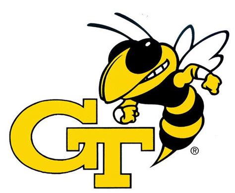 The Georgia Tech Yellow Jacket Mascot: An Iconic Symbol of Georgia Tech Pride